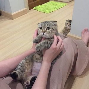 Meet your Posher, Brian